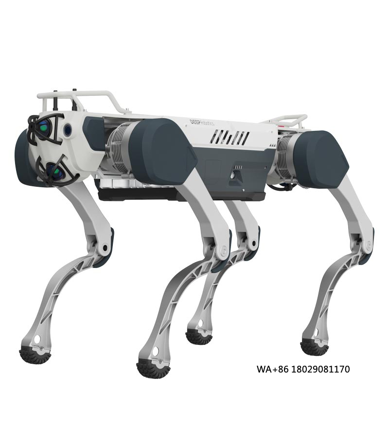 Robot Remote Control - Obtenez l'intelligence artificielle pour l'éducation et